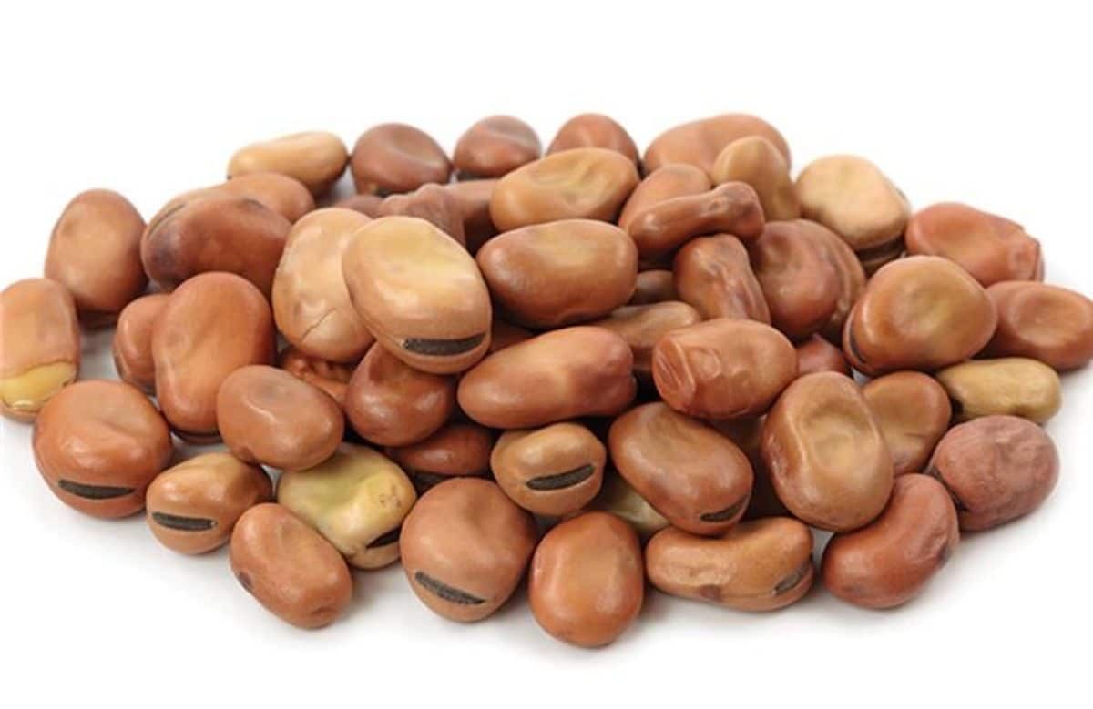 Close-up of whole Egyptian fava beans (faba beans)