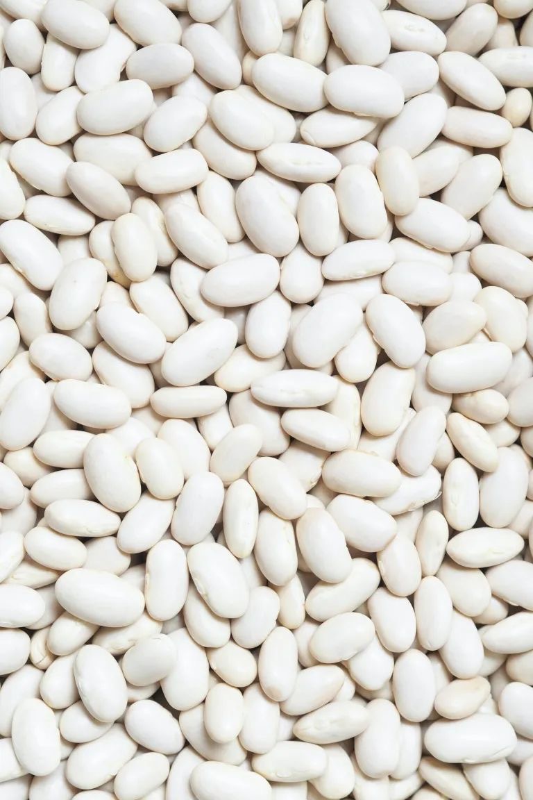 Close-up of clean, uniform Egyptian white kidney beans